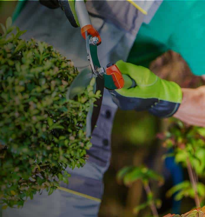 Hovenier Infra gezocht | Groen en Grondwerk combineren